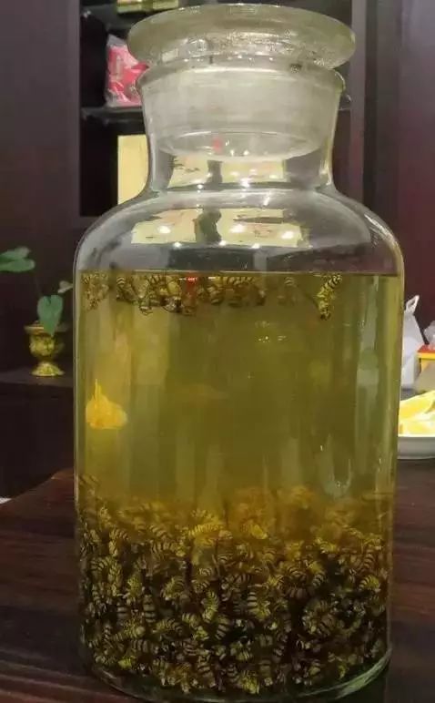 其味甘,性平具有补肝益肾之功效,《本草纲目》中说"久服坚筋骨,轻身不