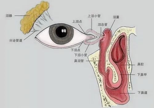 哭戏说来就来这不是演技派可能是患了泪道病