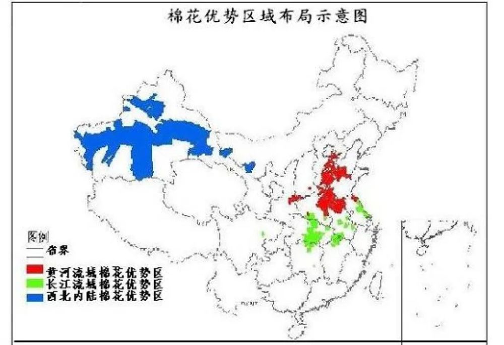 今年高考热点:新疆棉花试题汇总_腾讯新闻