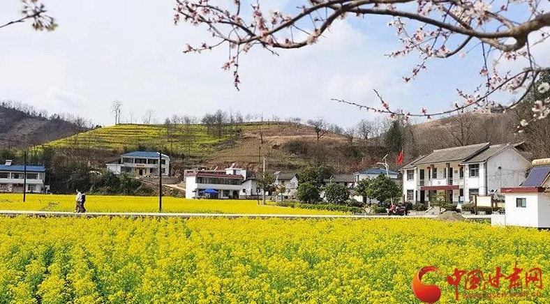 【乡村振兴看甘肃】陇南康县:秀美田园播种希望