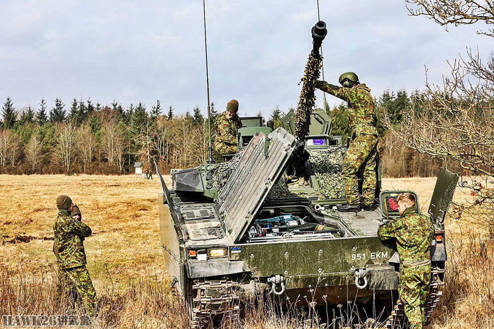 他们最重要的装备就是从荷兰陆军获得的二手cv90步兵战车.