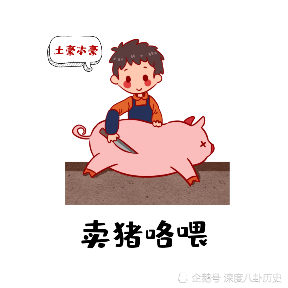 北大毕业卖猪肉太弱了,他放着皇帝不当想卖猪肉,富人不知穷人苦