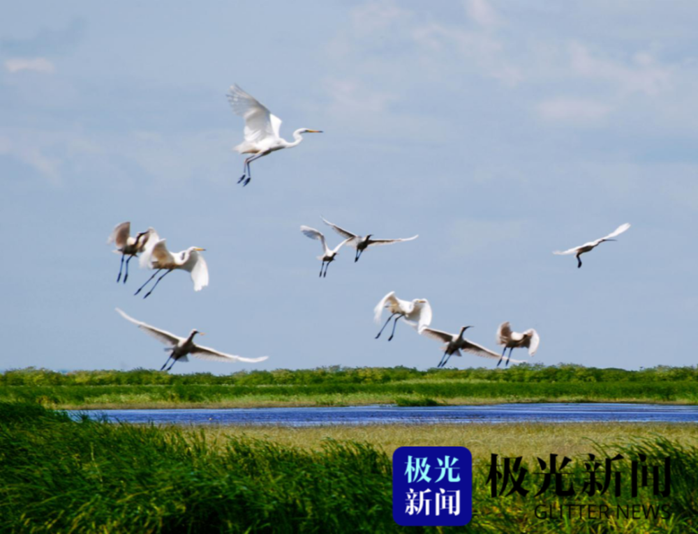 佳木斯富锦湿地公园.