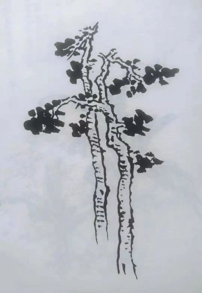 梧桐树的画法_腾讯新闻