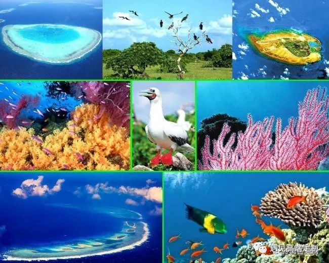 西沙群岛珊瑚礁为世界上著名的四大高生产力区域类型之一.