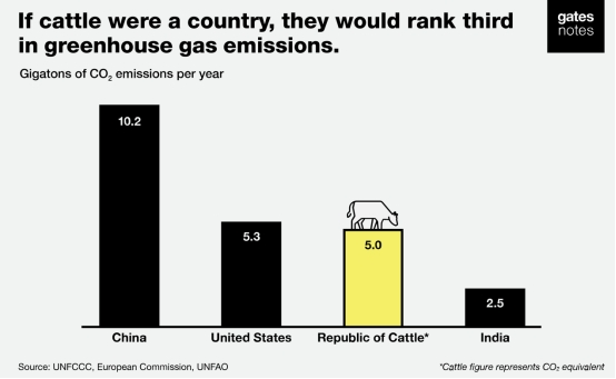 牛的碳排放总量仅次于中美两国,如何"碳中和"一头牛?