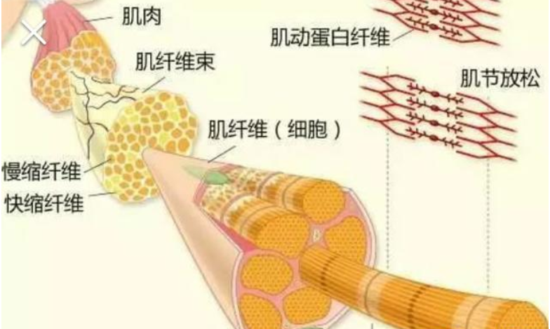 羊毛疔是什么原理_羊毛疔是什么病图片(2)