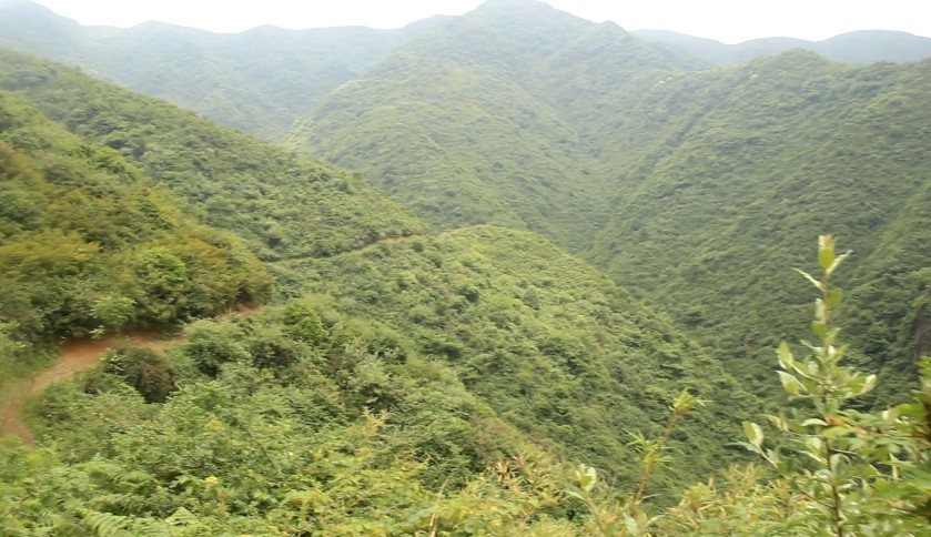 云南大山的牧民,每天和羊群美景相伴,但不建议你来