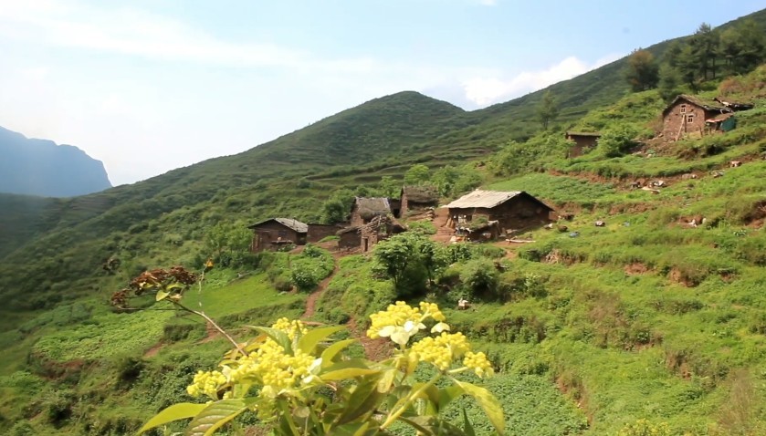 云南大山的牧民每天和羊群美景相伴但不建议你来