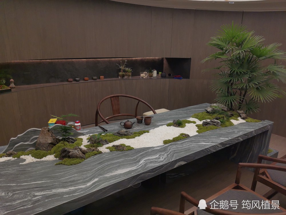 在家也能用植物景观营造出意境,掌握这几点就够了