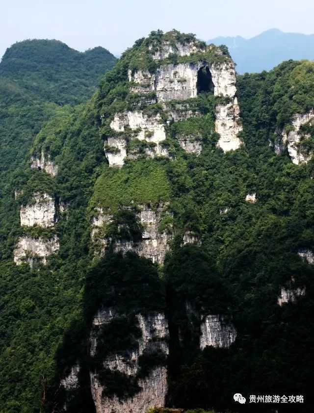 百里杜鹃山河锦绣,油杉河千锋壁立——毕节大方旅游攻略