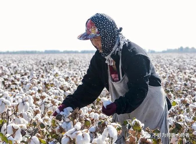 bci新疆棉花事件全是买卖,没有什么价值观之争,人权话术完全是造谣和