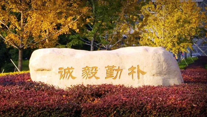 浙江工商大学是不是一本?不仅如此!