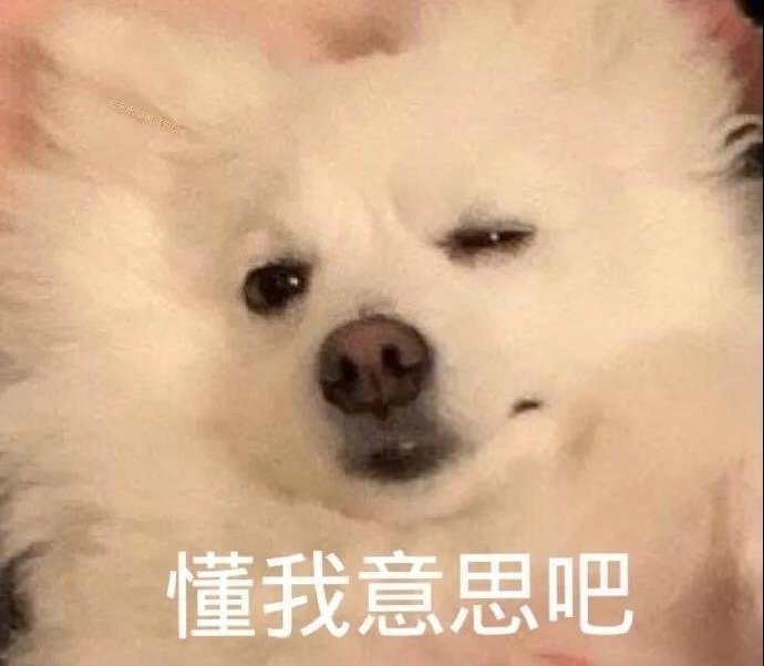 沙雕表情包l懂我意思吧