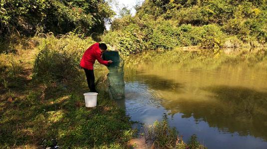 农村鱼塘的死穴:钓鱼人的"自留地",如今处在全线崩溃的边缘?