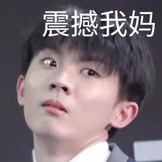 tnt时代少年全员团表情包