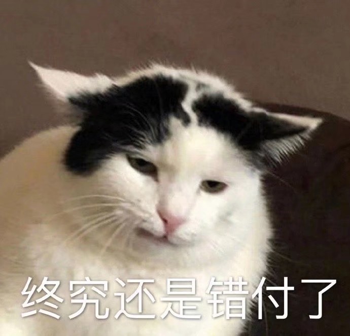 可爱表情包 | 你凶什么凶鸭?