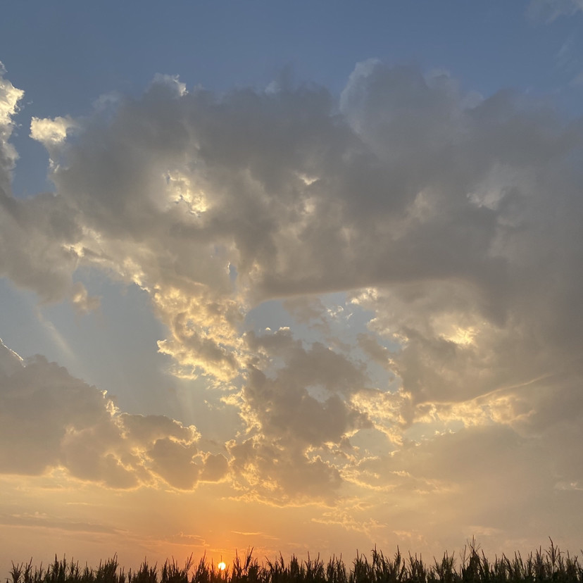 ins夕阳背景图爱在黄昏日落时