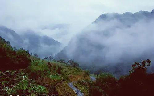 绿,迷,静,仙……这,就是旺苍鼓城山!