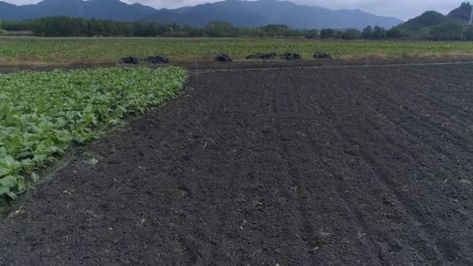 东北五常黑土遭盗挖耕地破坏严重