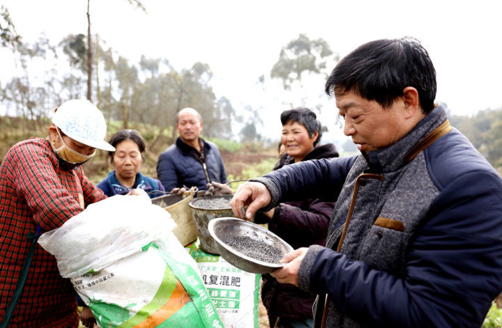 农民给自家菜地施农家肥,出售的菜地却施化肥,为何言行不一?