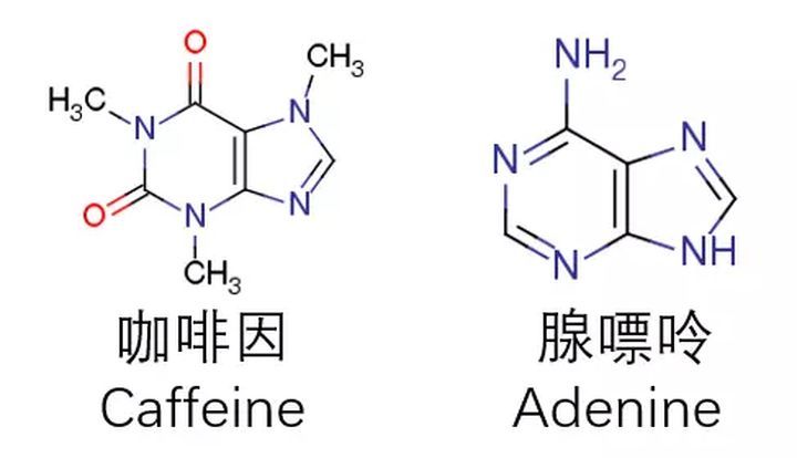 哪些明星的行为言论反映出了其素质学识或智商