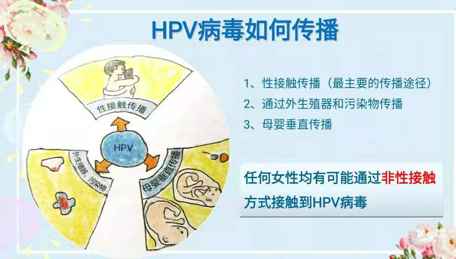 妇幼专家:关于"hpv和宫颈癌",您想了解的真相都在这里