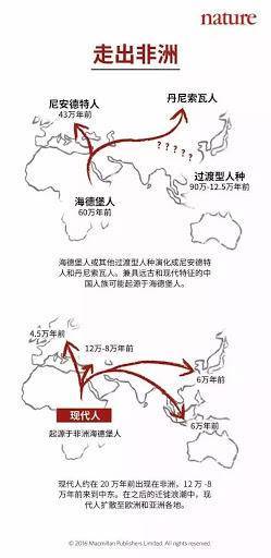 非洲黑种人人口比例_非洲黑种人(2)