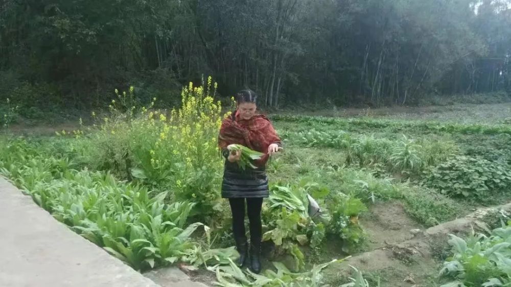 梁洛瑜如花芬芳如草淡然我心如是