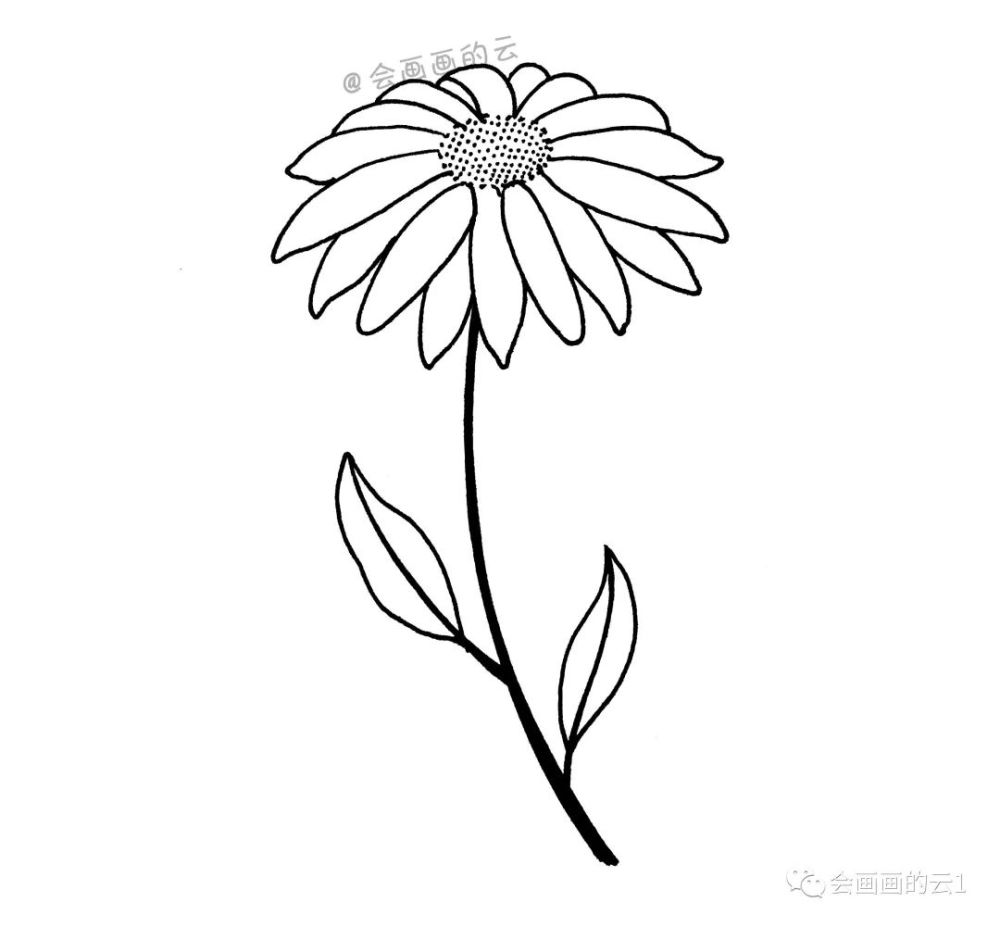 三款适合零基础画的小雏菊,简单又好看,一支中性笔就可以画