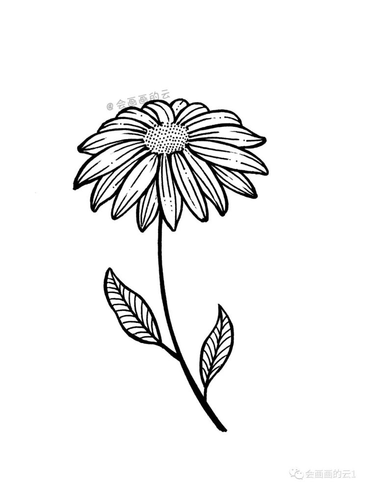 三款适合零基础画的小雏菊,简单又好看,一支中性笔就可以画