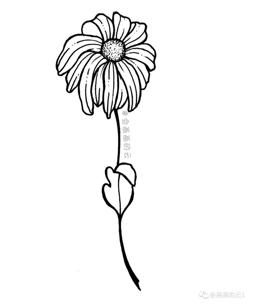 三款适合零基础画的小雏菊,简单又好看,一支中性笔就可以画