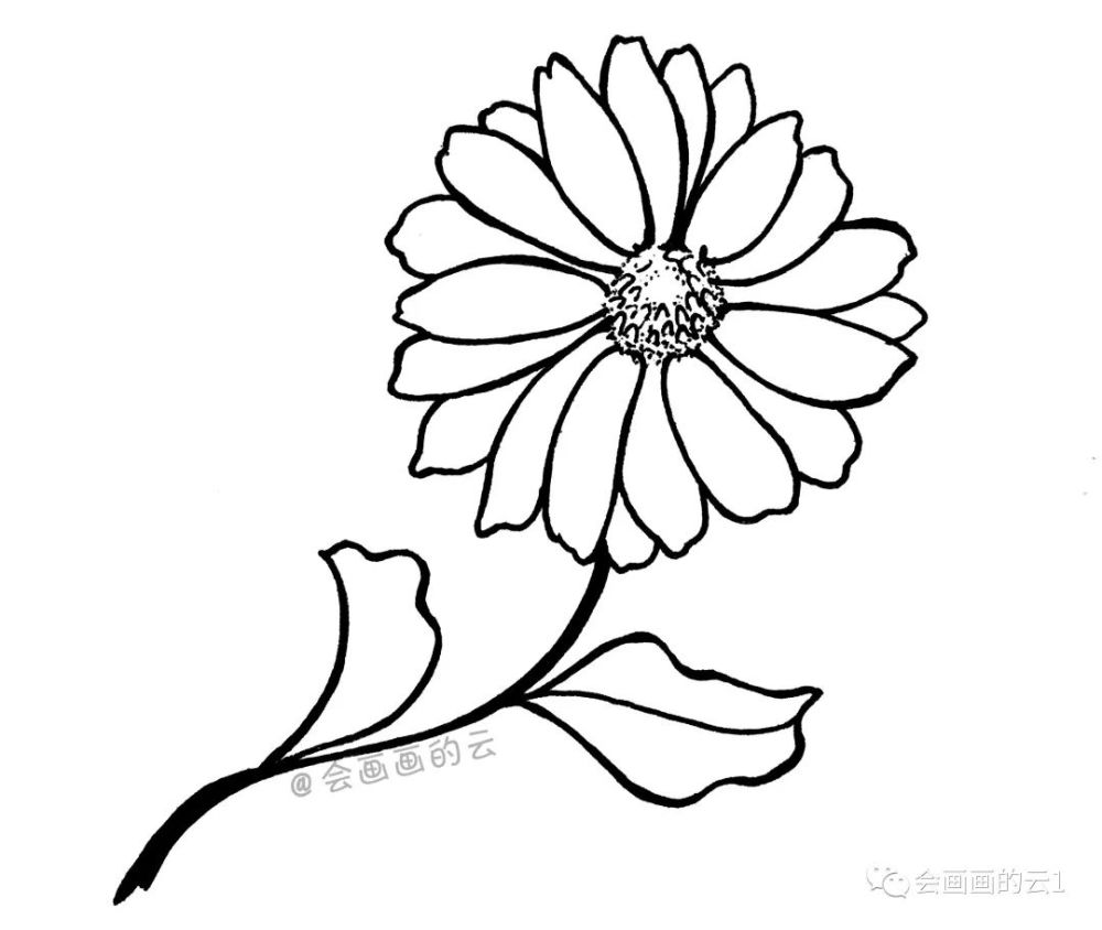 三款适合零基础画的小雏菊,简单又好看,一支中性笔就可以画