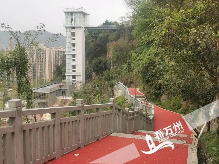 万州这个大型公园即将完工!预计8月底