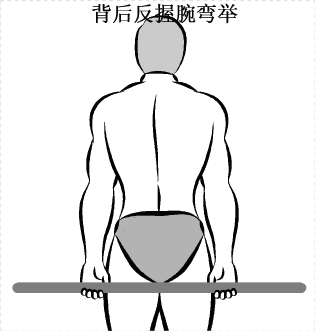 在腕弯举常规动作当中,背后腕弯举,能够达到怎样的练习目的?
