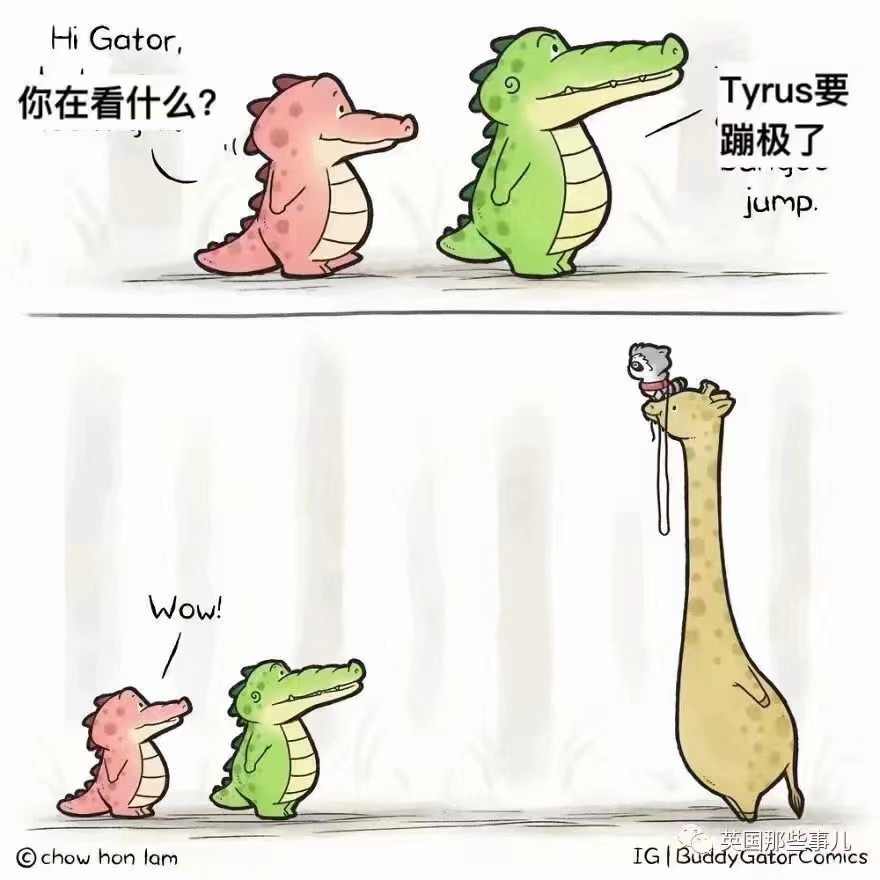 治愈的小鳄鱼漫画来啦