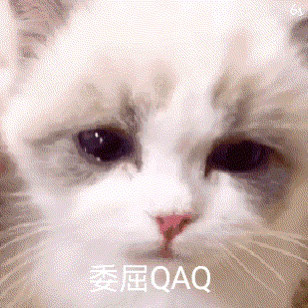猫咪表情包我寄几玩