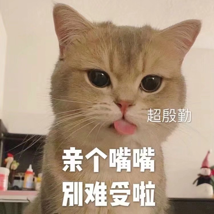 猫咪表情包/我寄几玩