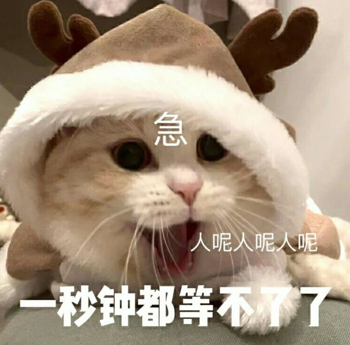 猫咪表情包/我寄几玩