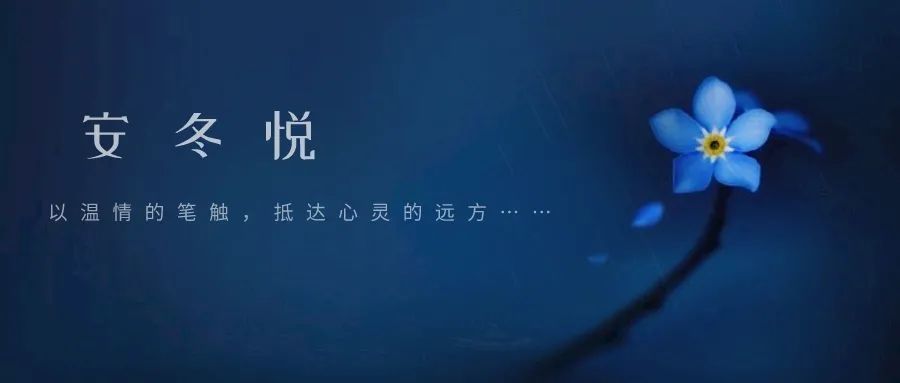 相见恨晚的简谱_彭佳慧相见恨晚(3)