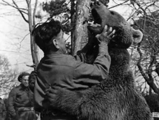 参加过二战的"熊士兵:不仅会喝酒,还有军衔和工资卡