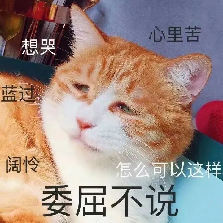 委委屈屈