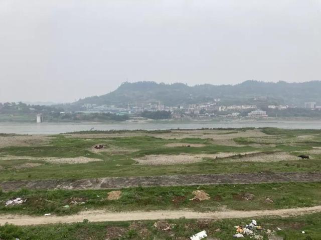 菜坝规划出炉:45000亩大手笔,背靠老城区,"宜宾后花园