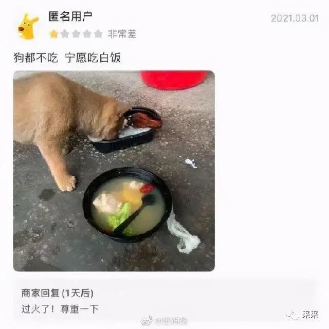 这个 你害我笑出了鹅叫!