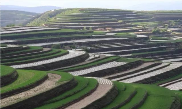 原来彭阳县旅游景点还有曾用名!这些你都知道吗?