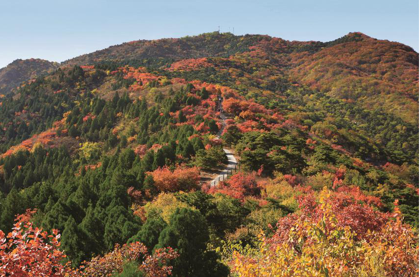 首都绿化的起点——小西山