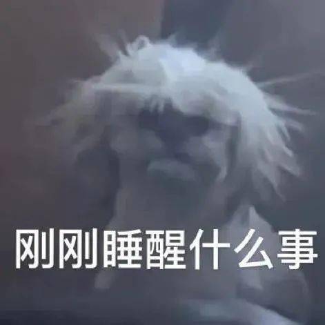 沙雕表情包刚刚睡醒什么事