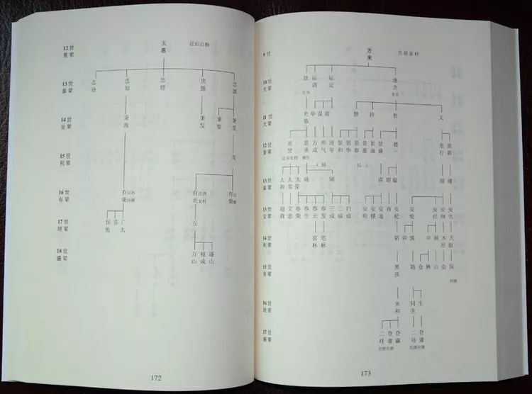 欧阳修式家谱格式的特点是:世代分格,由右向左排列,五世一表