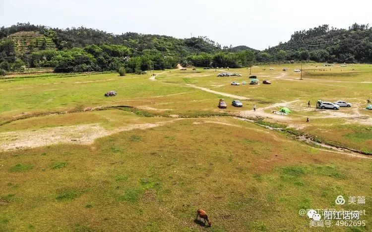 阳江市大八镇马迳村"大草原"美景