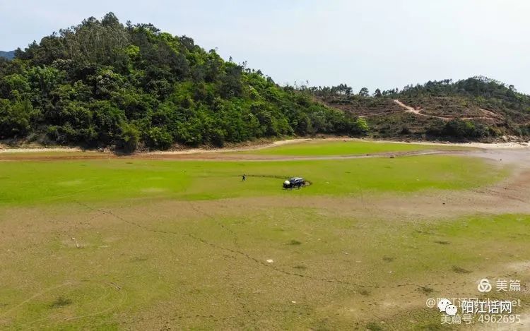 阳江市大八镇马迳村"大草原"美景